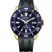 Citizen Eco-Drive BN0196-01L