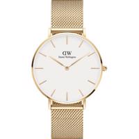 Daniel Wellington Petite Evergold 36 DW00100346