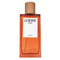 Loewe Solo Atlas parfémovaná voda pro muže 100 ml PLOEWSOATLMXN141397