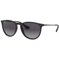 Ray-Ban Erika Classic RB4171 622/8G 54